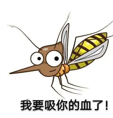 家庭最有效的灭蚊方法_家庭灭蚊子最有效的方法是什么_家庭最有效灭蚊子方法