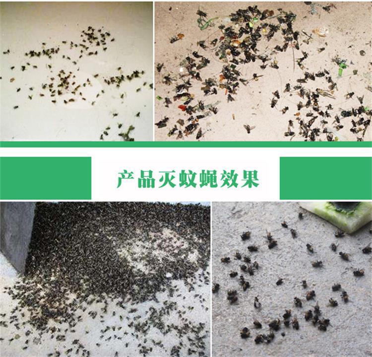 苍蝇药杀苍蝇原理_灭苍蝇的药有毒吗_灭苍蝇药