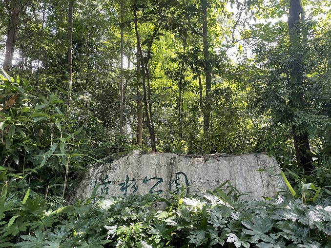 蚊子药水对人体有害吗_灭蚊子的药水有哪些_蚊子的药水