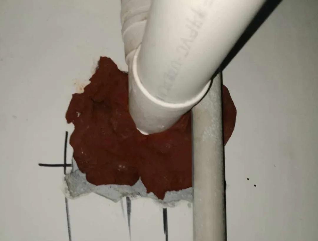 灭老鼠专业_灭老鼠灭老鼠_灭老鼠最快的工具
