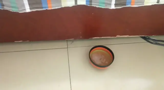 消灭蚊子_蚊子消灭最好用什么药_蚊子消灭了会不会影响生态