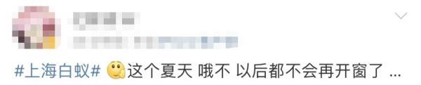 上海灭白蚁_上海灭白蚁热线_上海灭白蚁怎么收费价格