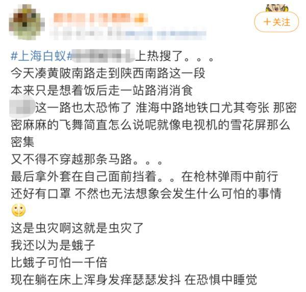 上海灭白蚁_上海灭白蚁怎么收费价格_上海灭白蚁热线