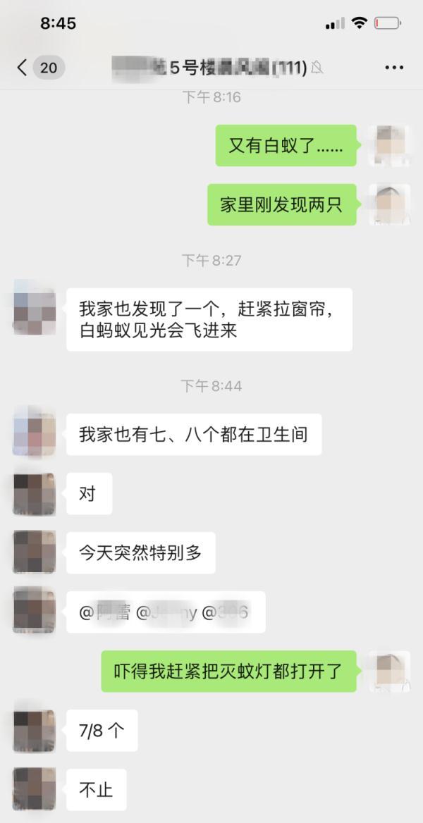 上海灭白蚁怎么收费价格_上海灭白蚁_上海灭白蚁热线