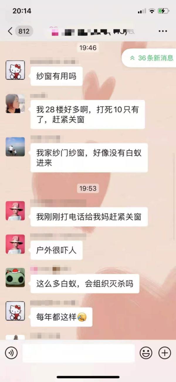 上海灭白蚁热线_上海灭白蚁怎么收费价格_上海灭白蚁