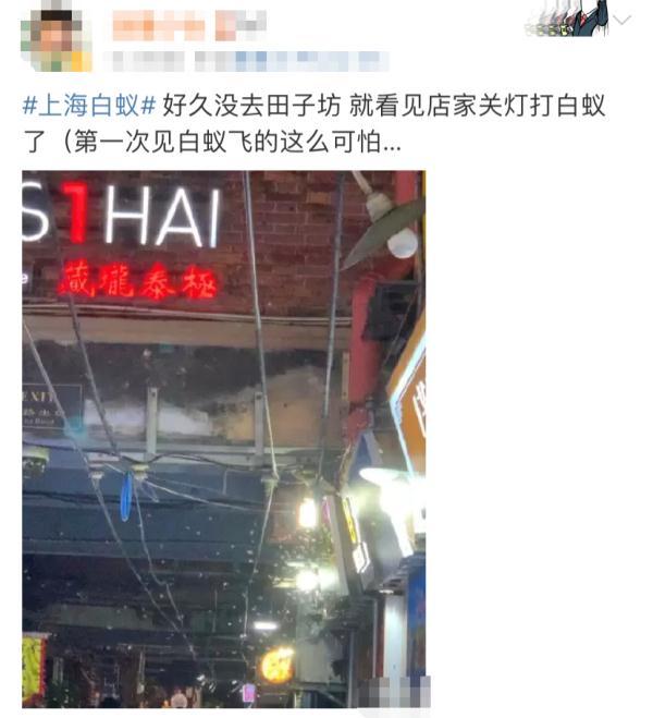 上海灭白蚁怎么收费价格_上海灭白蚁热线_上海灭白蚁