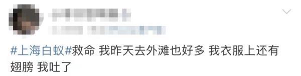 上海灭白蚁_上海灭白蚁热线_上海灭白蚁怎么收费价格