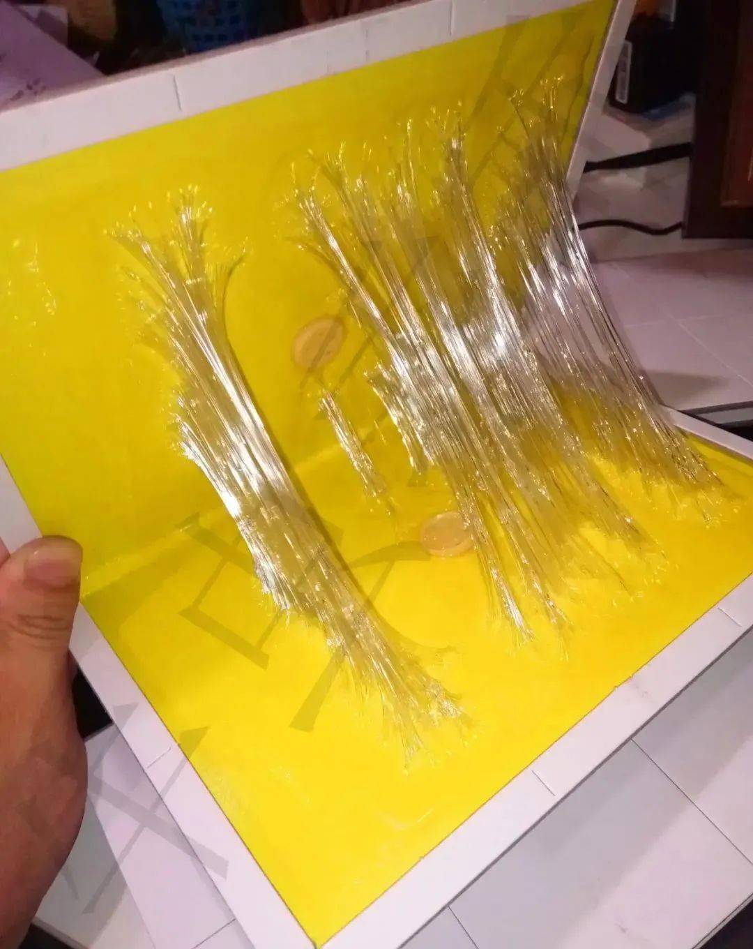 老鼠怎么灭绝妙招_灭老鼠最有效的方法_老鼠怎样才能灭老鼠