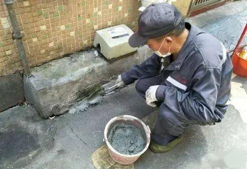 老鼠怎样才能灭老鼠_灭老鼠最有效的方法_老鼠怎么灭绝妙招
