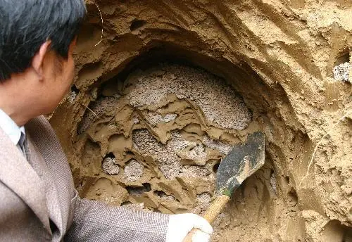灭白蚁大概多少钱_灭白蚁怎么样报价_灭白蚁多少钱一次