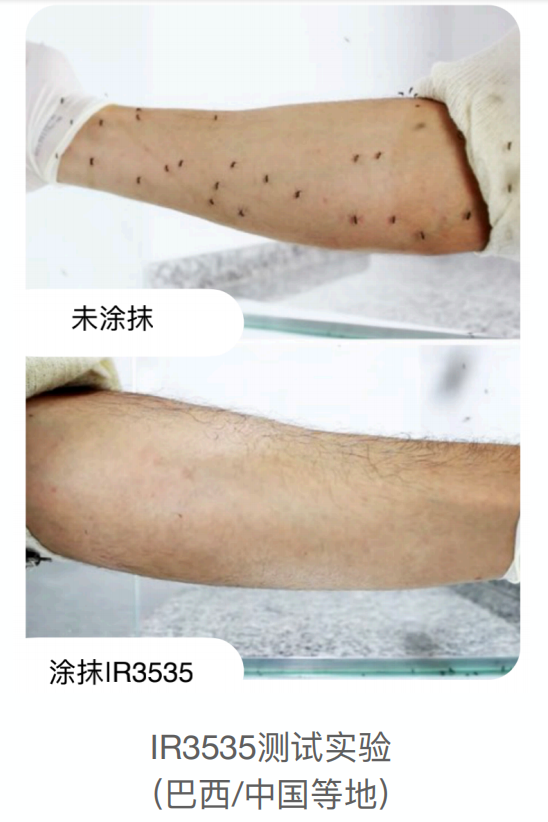 家里如何灭蚊虫_家庭怎样灭蚊_家庭灭蚊虫最好的方法