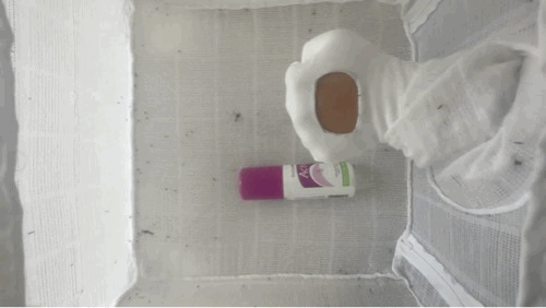 家庭灭蚊虫最好的方法_家庭怎样灭蚊_家里如何灭蚊虫