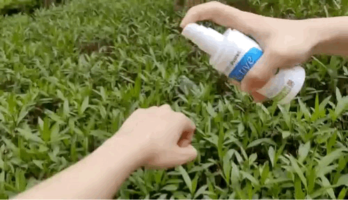 家庭怎样灭蚊_家庭灭蚊虫最好的方法_家里如何灭蚊虫