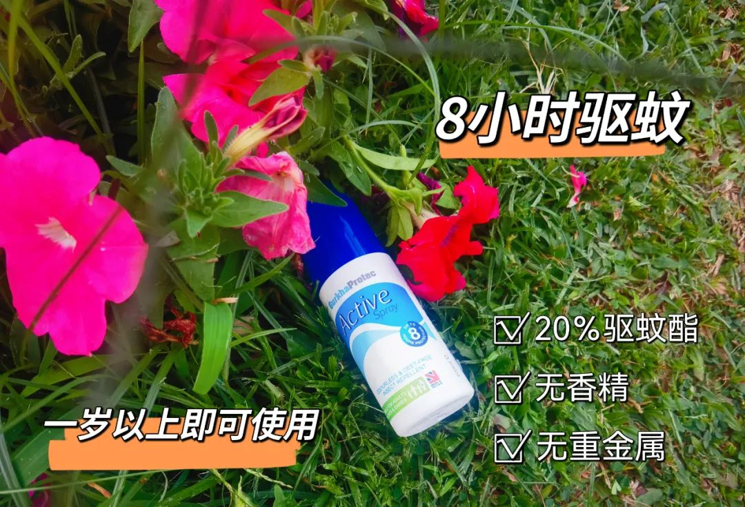 家庭怎样灭蚊_家庭灭蚊虫最好的方法_家里如何灭蚊虫
