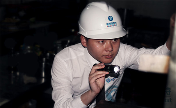 灭老鼠最有效的方法有哪些药_老鼠灭药有效方法有几种_灭老鼠的药特效药