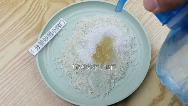 灭老鼠绝招_灭老鼠的方法有哪些_老鼠怎样才能灭老鼠