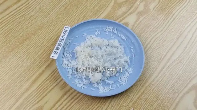 老鼠怎样才能灭老鼠_灭老鼠绝招_灭老鼠的方法有哪些