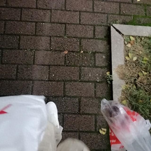有效家庭灭鼠方法视频_实用的家庭灭鼠奇招_最有效的家庭灭鼠方法