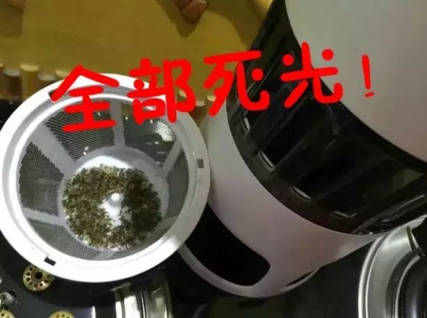 灭蚊子咒_驱蚊子咒语_驱赶蚊子咒