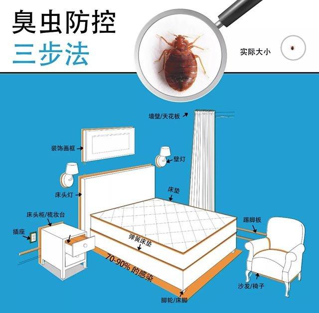 怎么灭臭虫最快最有效_灭臭虫方法_如何杀灭臭虫害虫防治