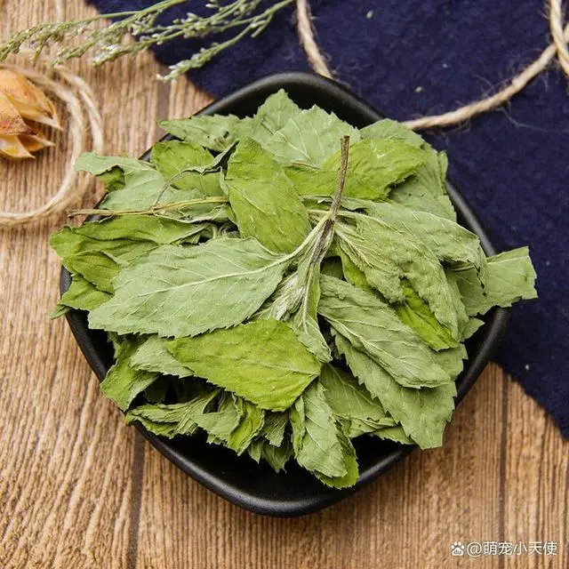 灭跳蚤专用药_灭跳蚤药物_灭跳蚤农药