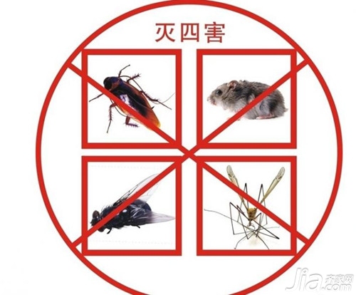 灭蟑螂的最有效方法_蟑螂怎么消灭最彻底小妙招知乎_蟑螂如何灭