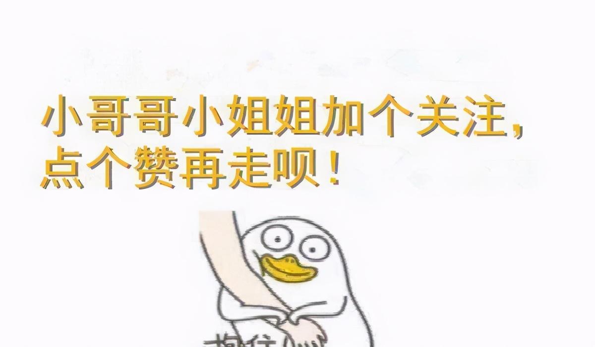 家里消灭跳蚤妙招_消灭妙招跳蚤家里能养吗_消灭妙招跳蚤家里怎么消毒