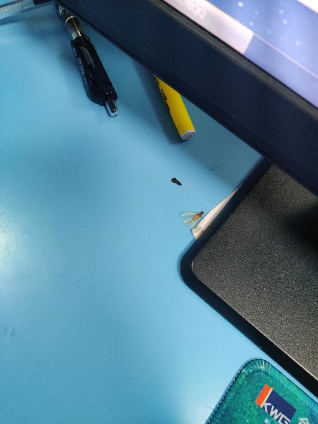 \